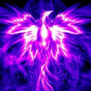 Meet your Posher, Luna